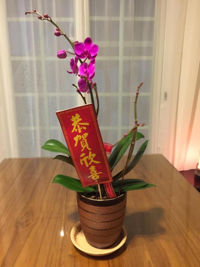 Bridge Bed And Breakfast Hualien City Ngoại thất bức ảnh